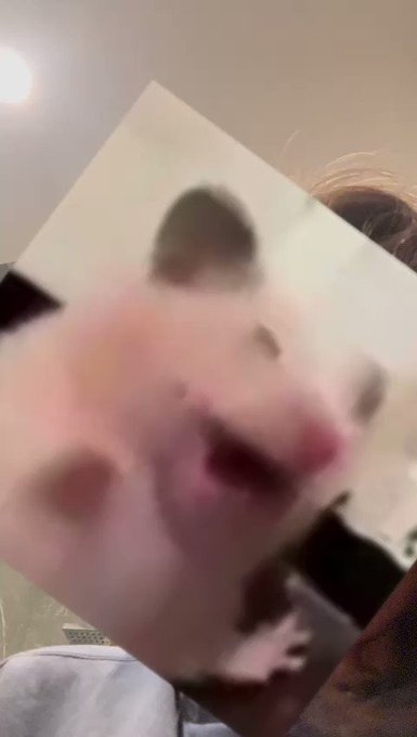 Cuetes o balazos?🥲 https://t.co/FDKUwZQhx6