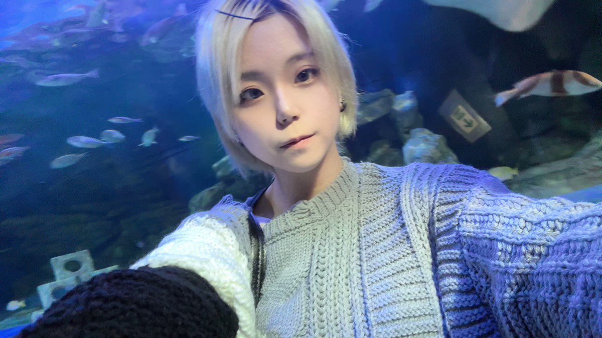 Video by @kaworu_0331