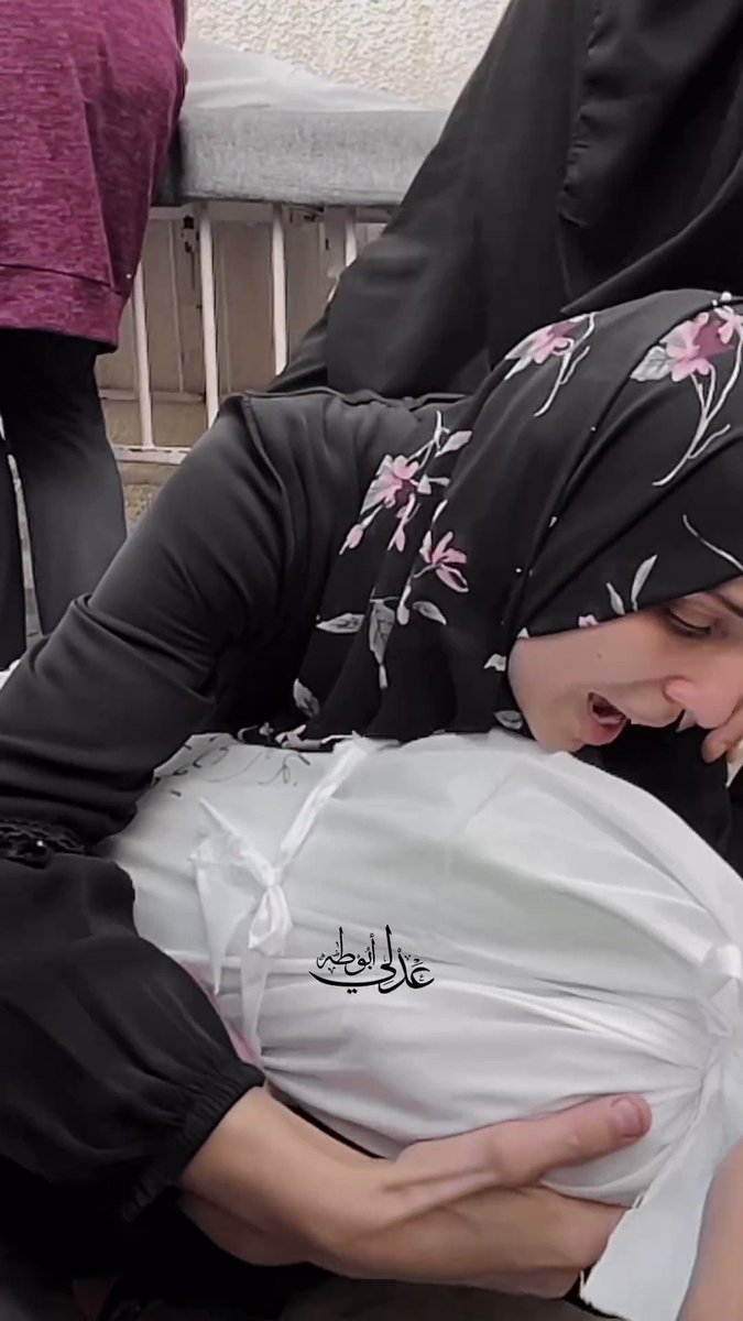 خبرني | موقع نبض