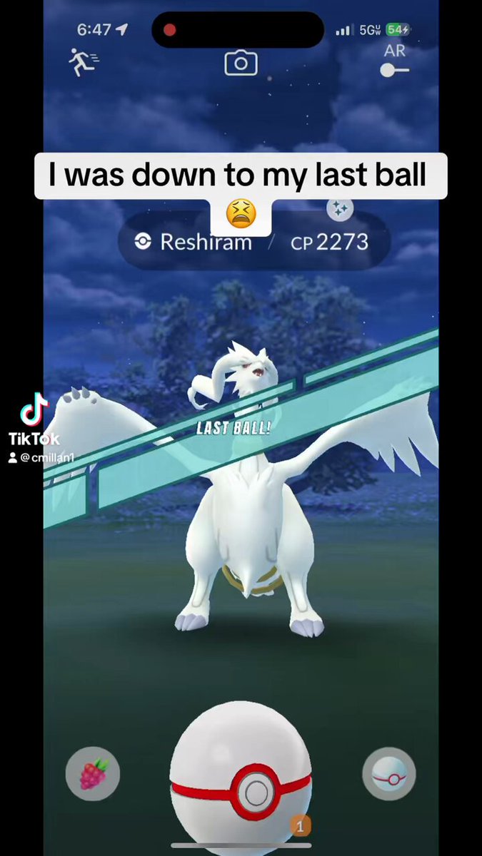 Ditto spawns for august 2023|TikTok Search