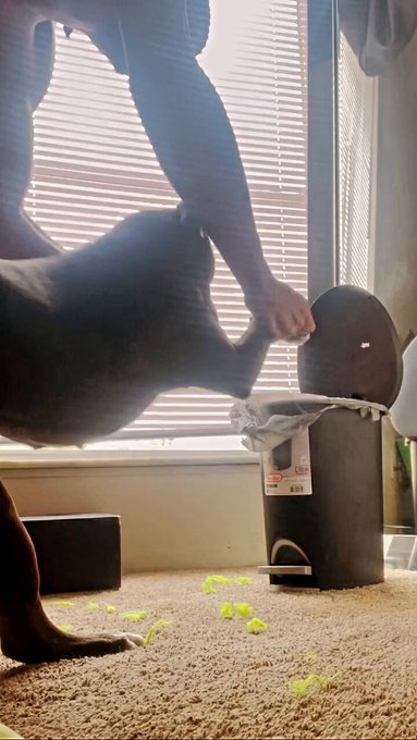 I don’t play no games w my child , she gon learn ! ? https://t.co/CT8B5m0Hj2