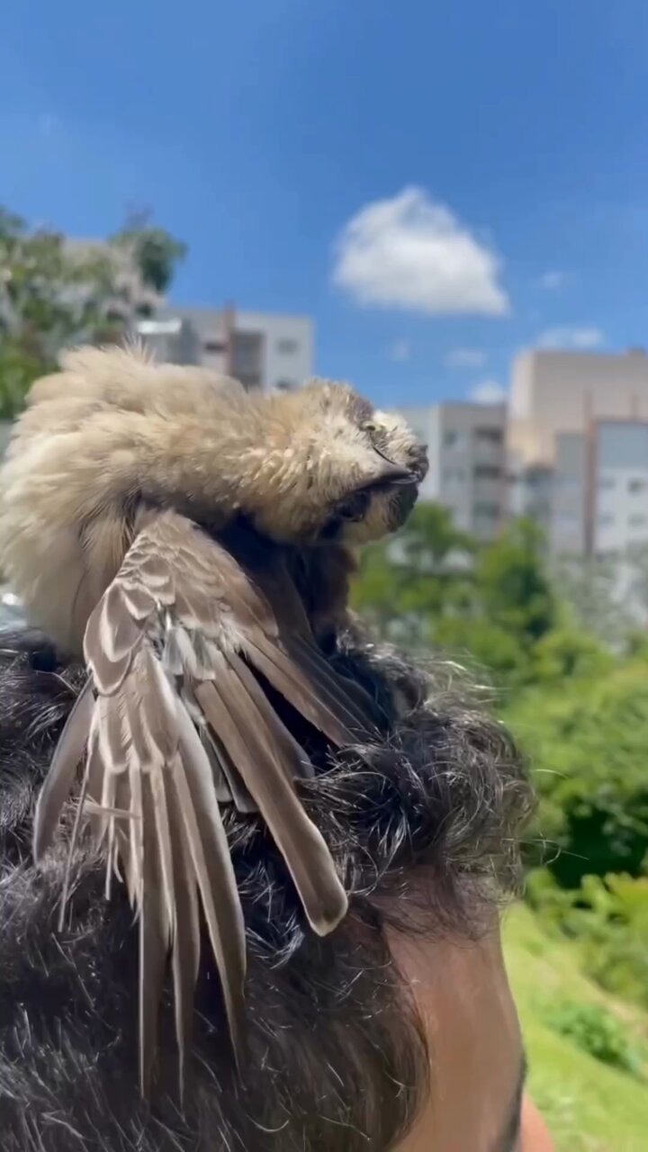 Soca Fofo 🦦🔞 on X: Gente… / X