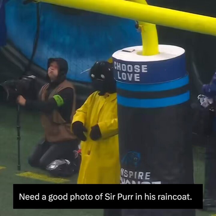 Carolina panthers rain jacket deals