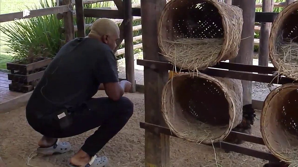 A Fazenda 15: Roça tem cinco peões e veto duplo. Saiba tudo - OFuxico