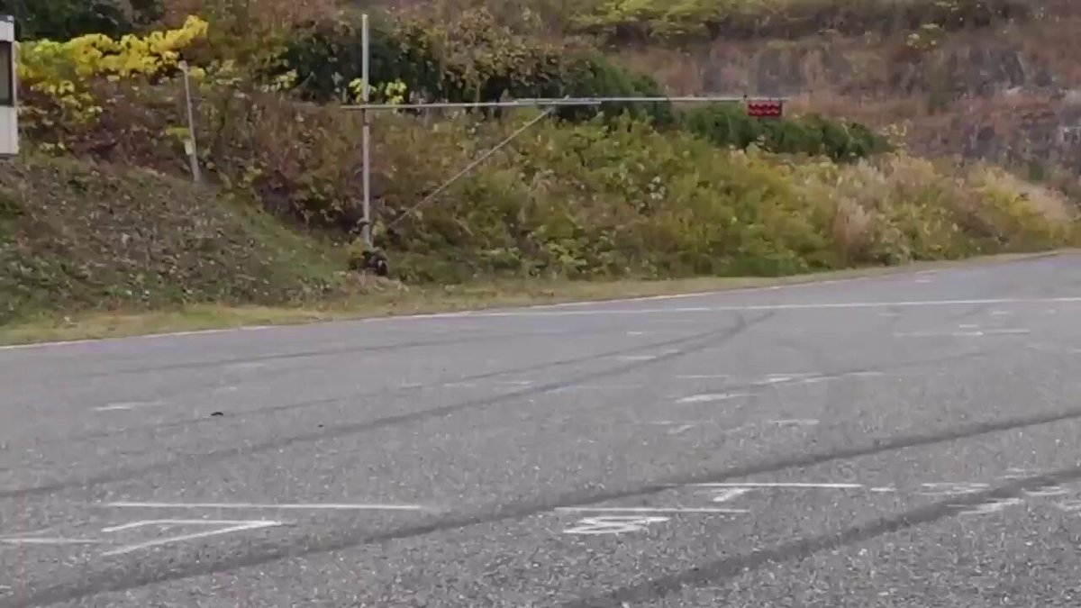 ちぃたん☆／Chiitan (@chiitan7407) / Posts / X