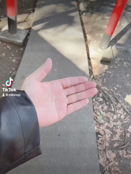 コスプレイヤーみきののTwitter動画7