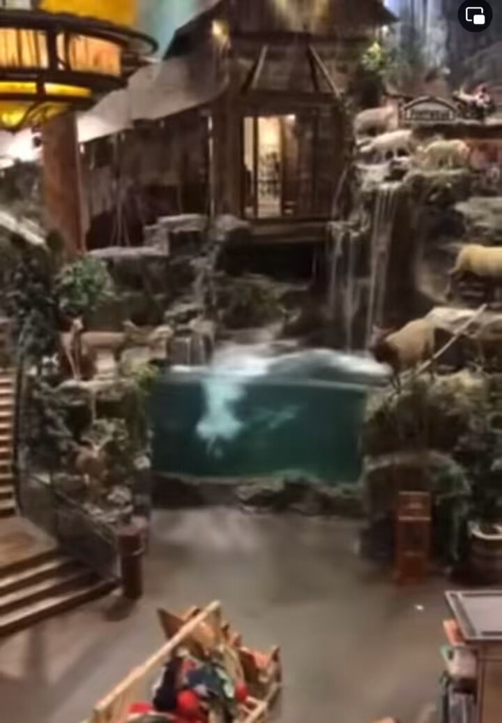 Man strips naked, jumps into Bass pro shop aquarium : r