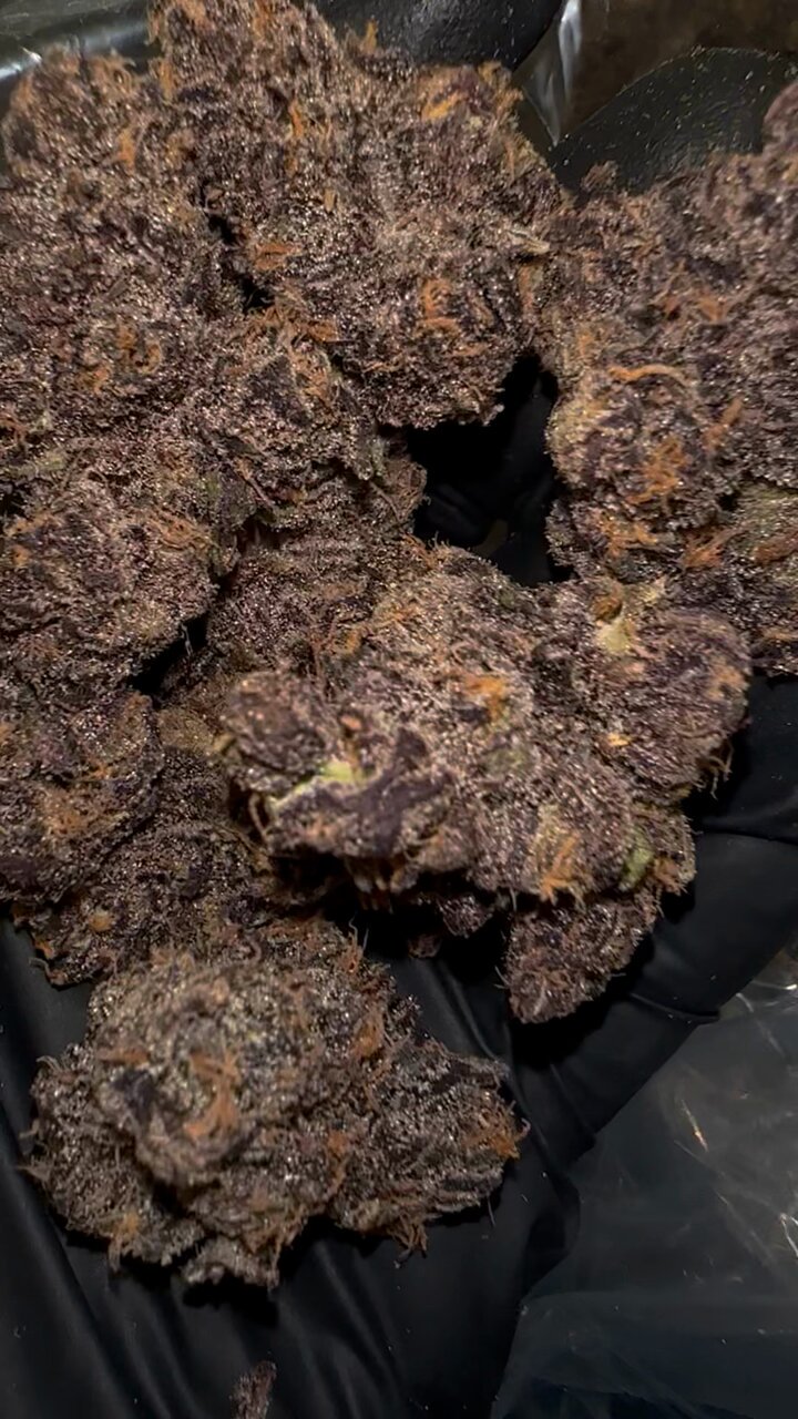 cherryページ SeedJunky on X: 