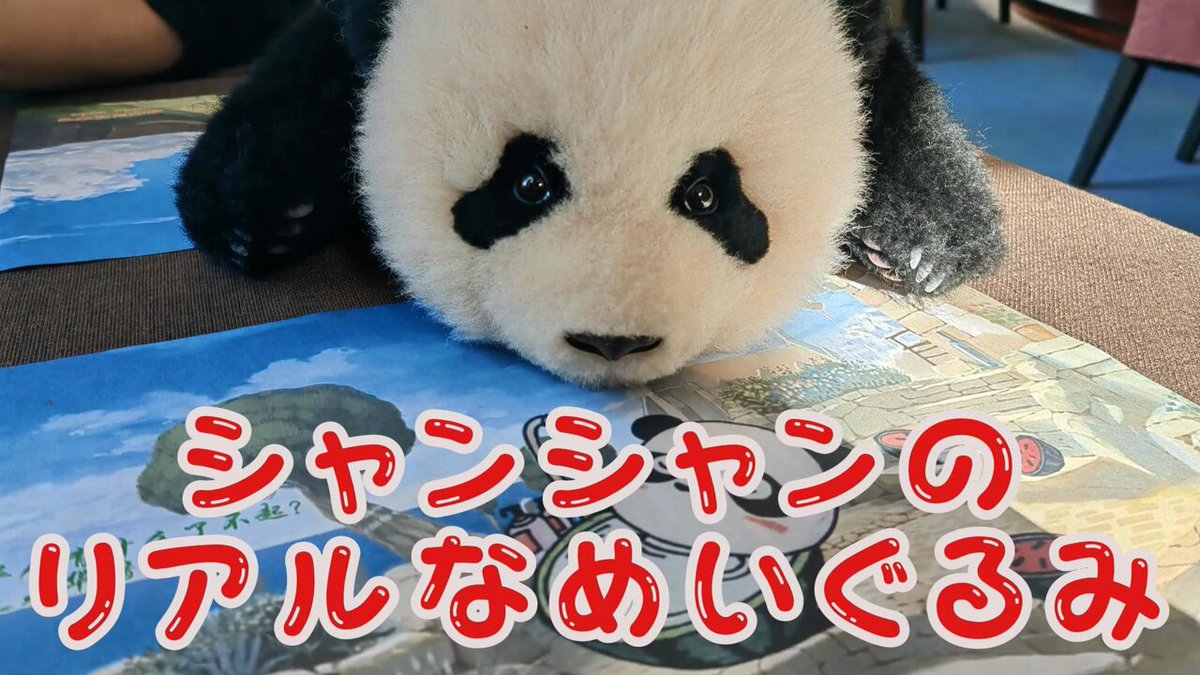 パンダの合花 5ヶ月 座るぬいぐるみ – Chongker