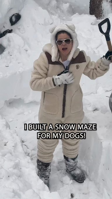 Great success! #dogs #colorado #snowstorm https://t.co/Cm2n2dg3zq<a href="/tag/dogs"class="tags">&#35;dogs</a><a href="/tag/colorado"class="tags">&#35;colorado</a><a href="/tag/snowstorm"class="tags">&#35;snowstorm</a>