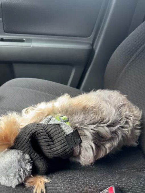 Me and my baby. Aka my besties yesterday lol.   She is so mad at me. https://t.co/BAS3yDowdK