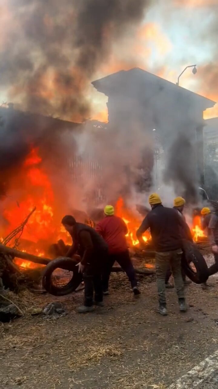 [爆卦] 法國農民放出大量羊群抗議政府