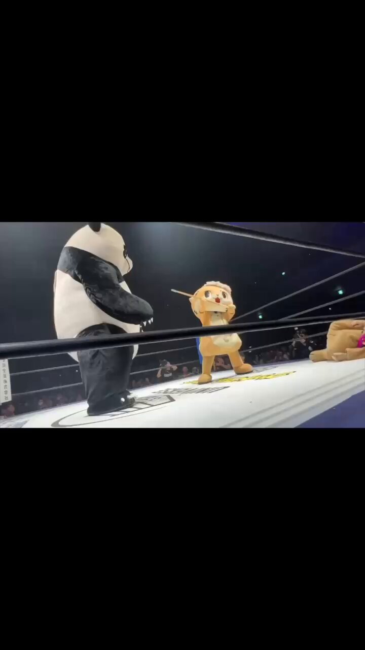 Highlights by ちぃたん☆/Chiitan (@chiitan7407) / X Highlights by ちぃたん☆/Chiitan (@chiitan7407) / X