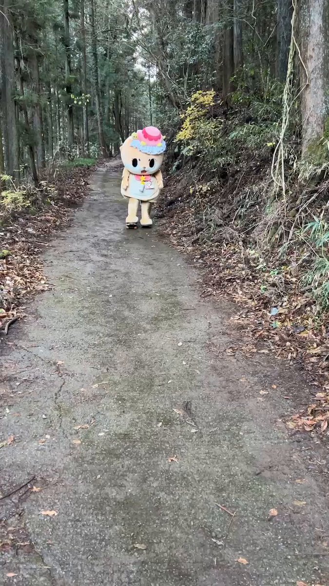 ちぃたん☆/Chiitan (@chiitan7407) / X ちぃたん☆/Chiitan (@chiitan7407) / X