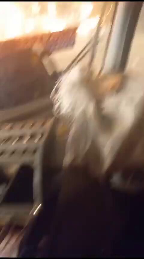 [爆卦] 智利森林大火 多車逃難中（影