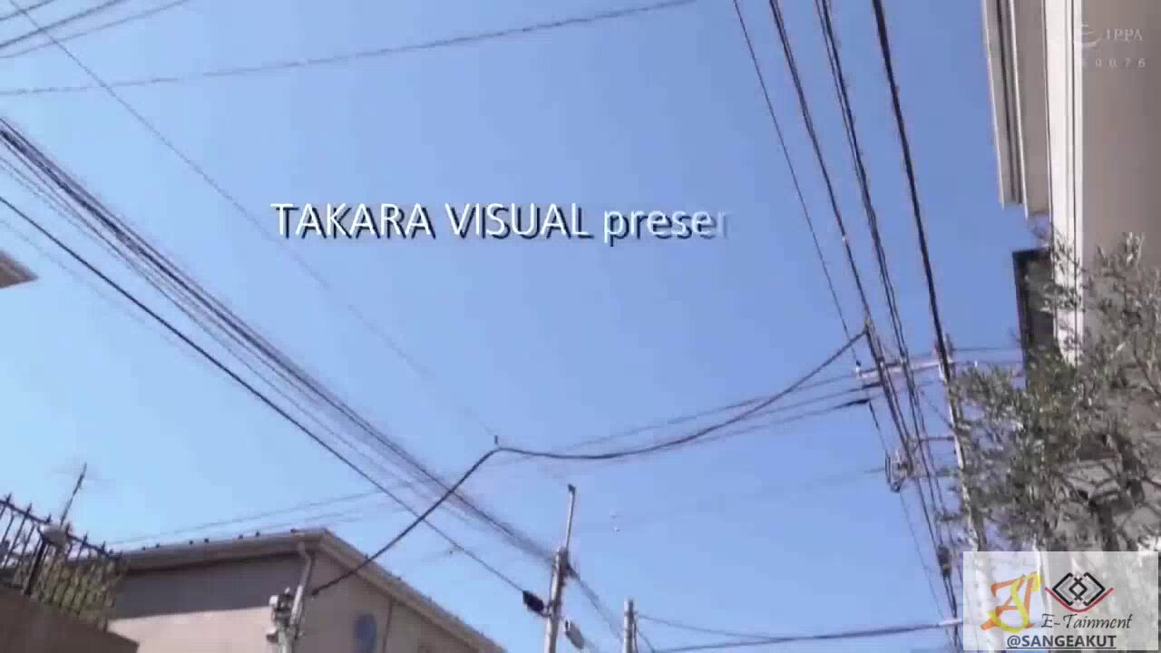 @sangeakuts video Tweet