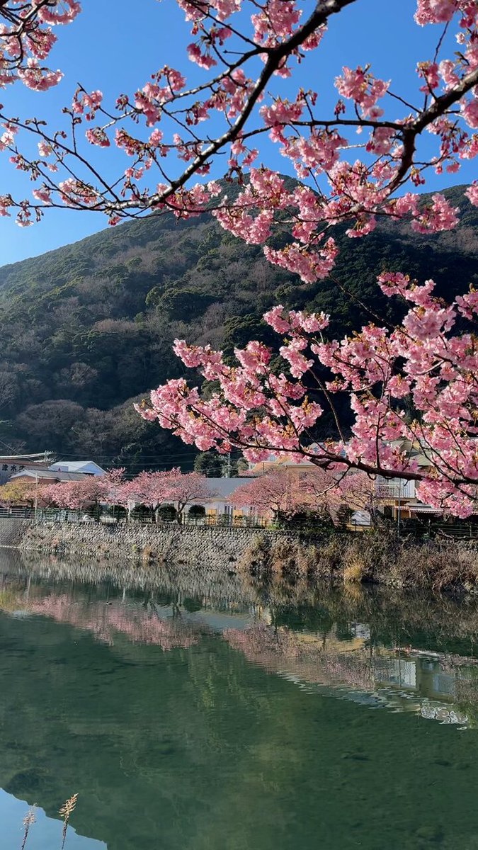 たにやん (@taniyan_db5) / X