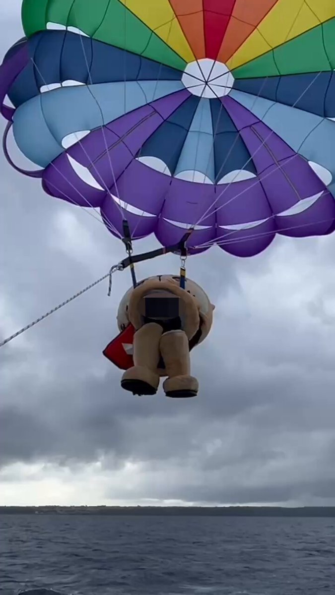 ちぃたん☆／Chiitan (@chiitan7407) / Posts / X