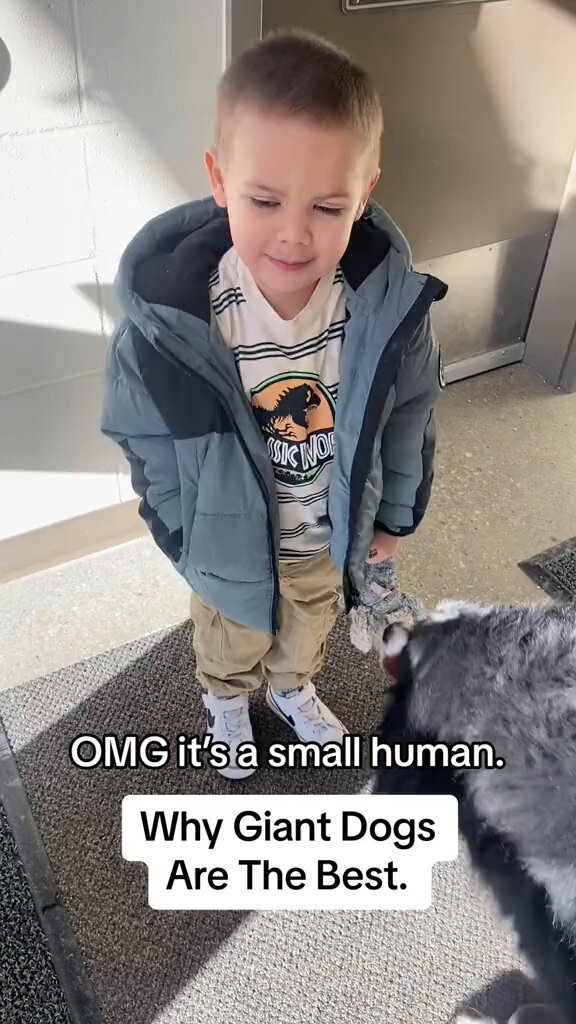 Er sevgilisining orqasidan xotinining mushukini yalaydi