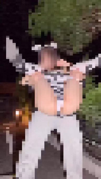 野外露出に関する画像