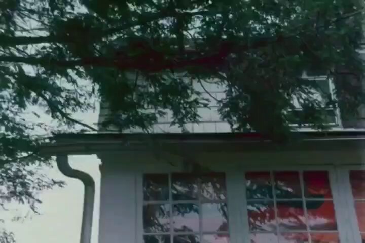 Twitter Image