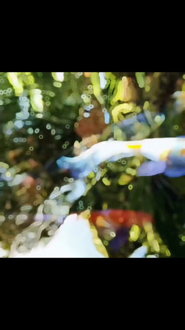 Here&rsquo;s the video I made while enjoying the smokey haze&hellip; https://t.co/w57QFSk8CA