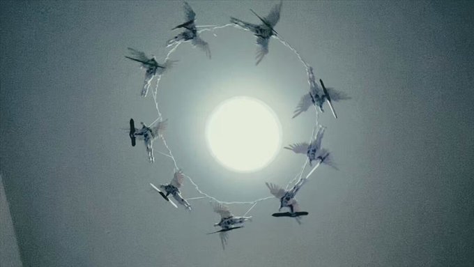 コスプレイヤーおもち(neo.omochi)のTwitter動画2