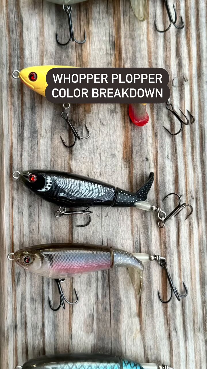 Take Me Fishing on X: Whopper ploppers are topwater lures that