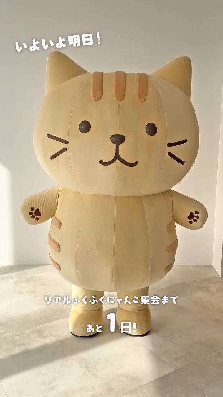 にゃんこマーケット Live Battle Cats] Nyanko Castle mini special feature
