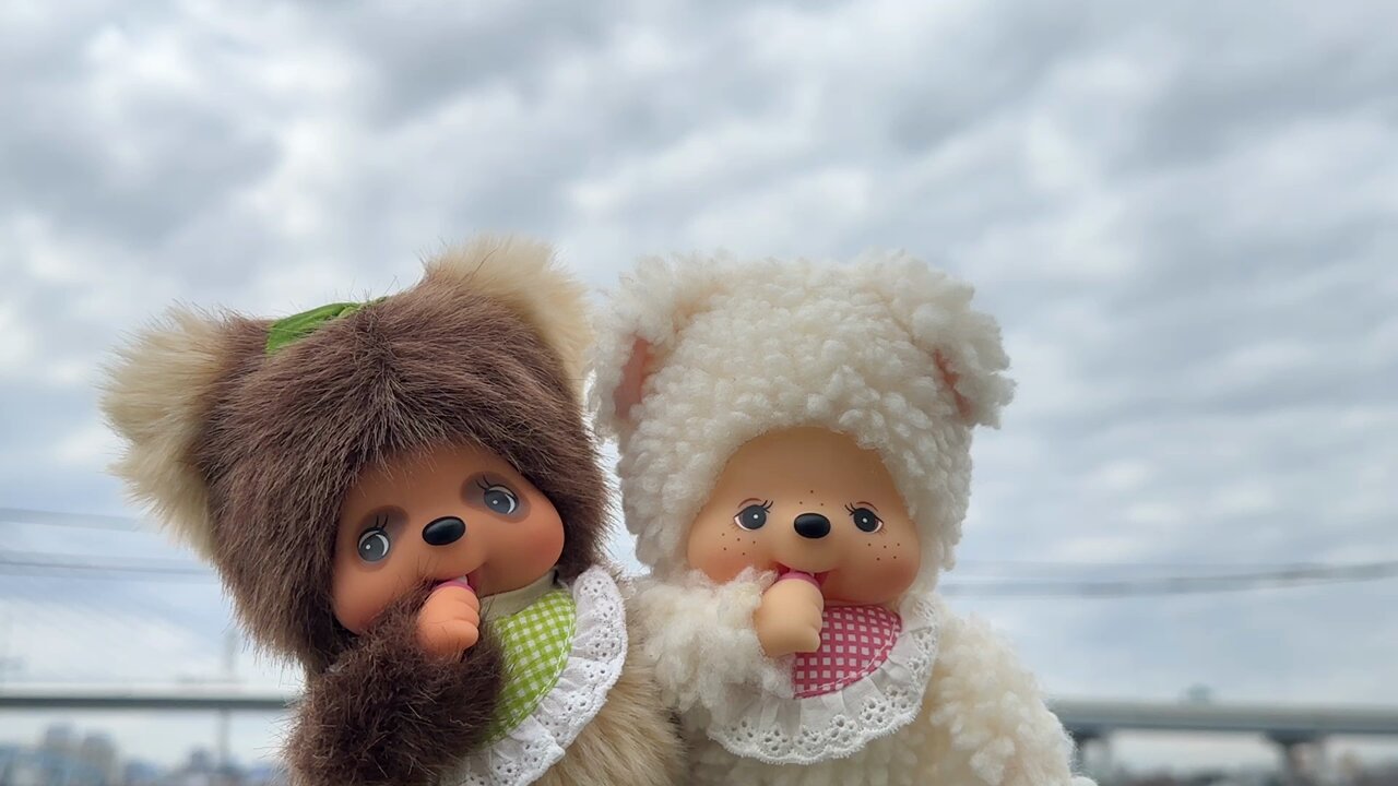 タヌタヌ - Search / X