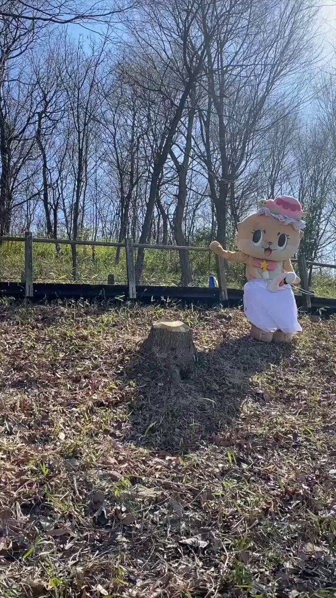 @chiitan7407's video Tweet @chiitan7407's video Tweet