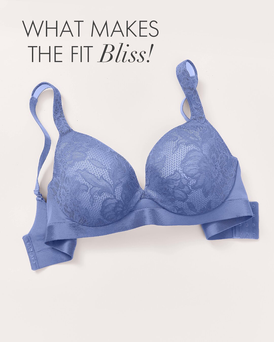 Lane Bryant on X: We call it Comfort *Bliss* for a reason! Every