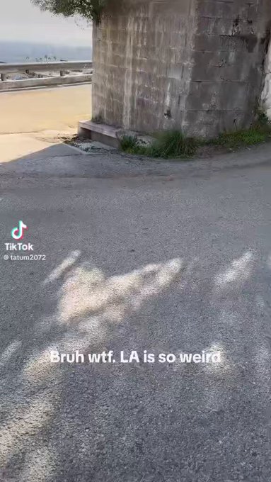 Which one of u did this ?? @elonmusk https://t.co/PFfrdzXL2g