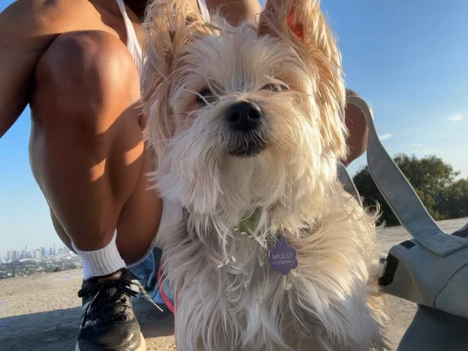 A day with my sweet puppy. https://t.co/ddbU2yxo1U