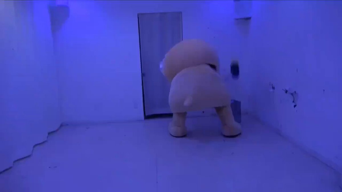 ちぃたん☆／Chiitan (@chiitan7407) / Posts / X