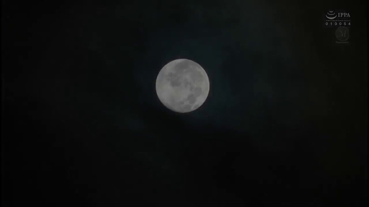 Twitter Image