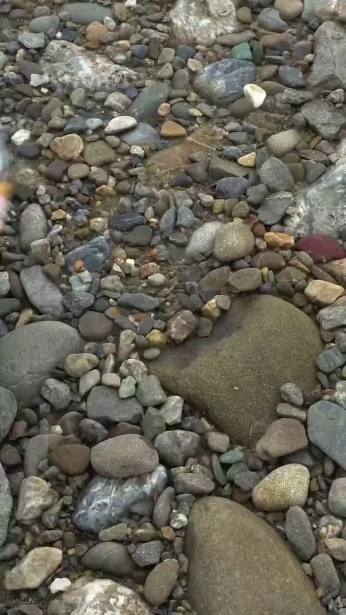 Video oleh @tannokasa4