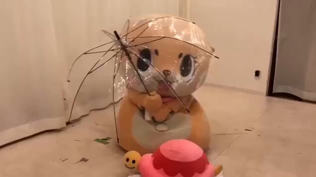 ちぃたん☆／Chiitan (@chiitan7407) / X