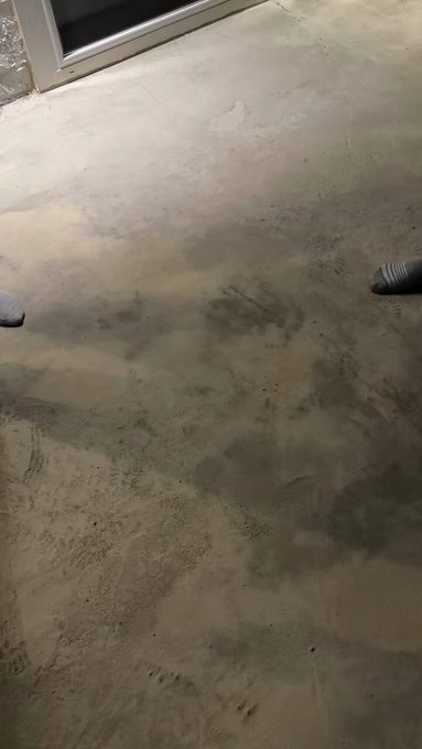 fun fact @fit_elf_tal and @fit_jake_switch are some of the first friends @islasumcum and I ever made<a class="tags" href="/tag/fit_elf_tal">@fit_elf_tal</a><a class="tags" href="/tag/fit_jake_switch">@fit_jake_switch</a>