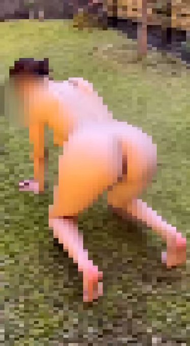 野外露出に関する画像
