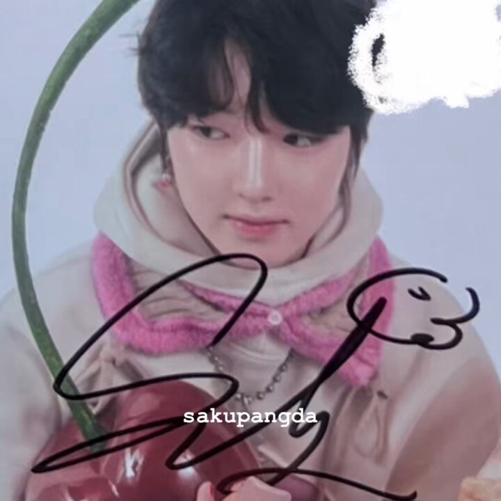 사쿠빵다 on X: 사쿠빵다 on X: