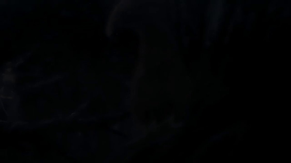 Twitter Image