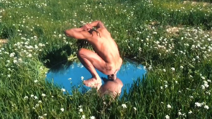 Panterino’s pics and videos