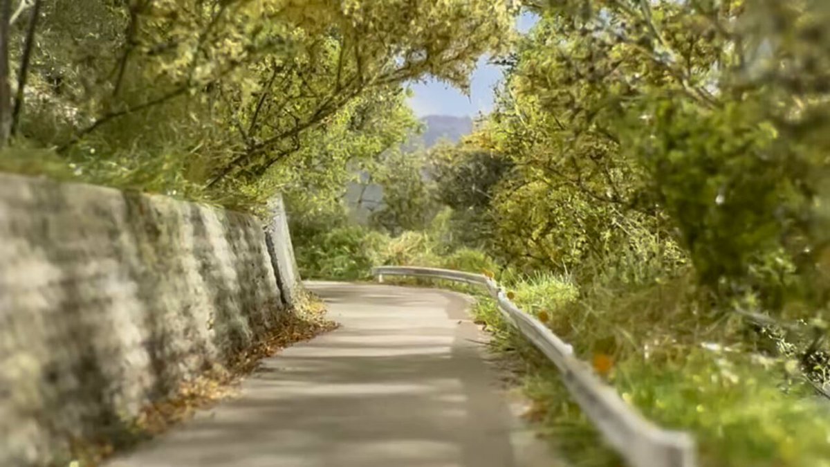 Twitter Image