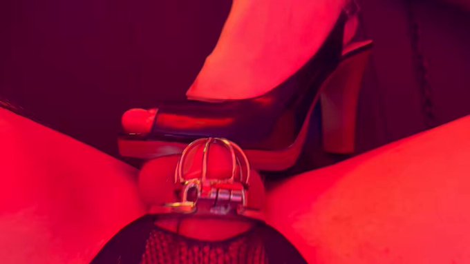 Go BLACK and put a cage on your white boyfriends 💋 https://t.co/t8Rj4b4AP9