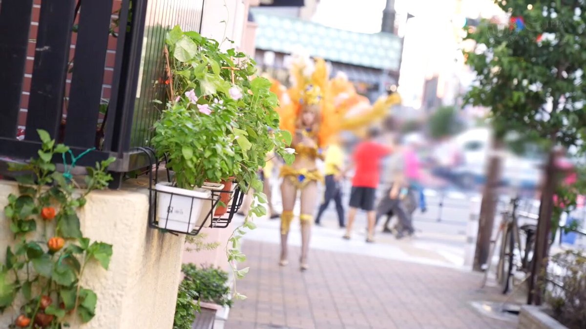 Video oleh @YOTARO777123