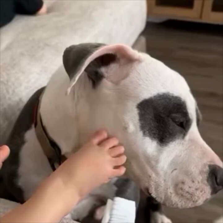 besties