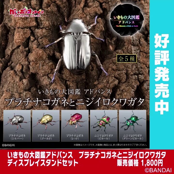 公式】バンダイ ガシャポン on X: 