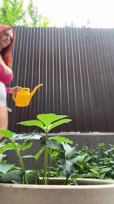 Dont’t forget to water your plants? https://t.co/D0Efm5ltdO