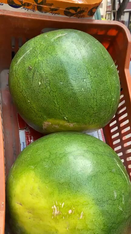 البطيخة بقت بكام .. آخر أسعار الفاكهة في السوق النهاردة #صدى_البلد 
